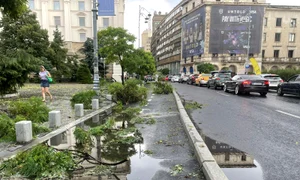 furtuna Bucuresti jpeg