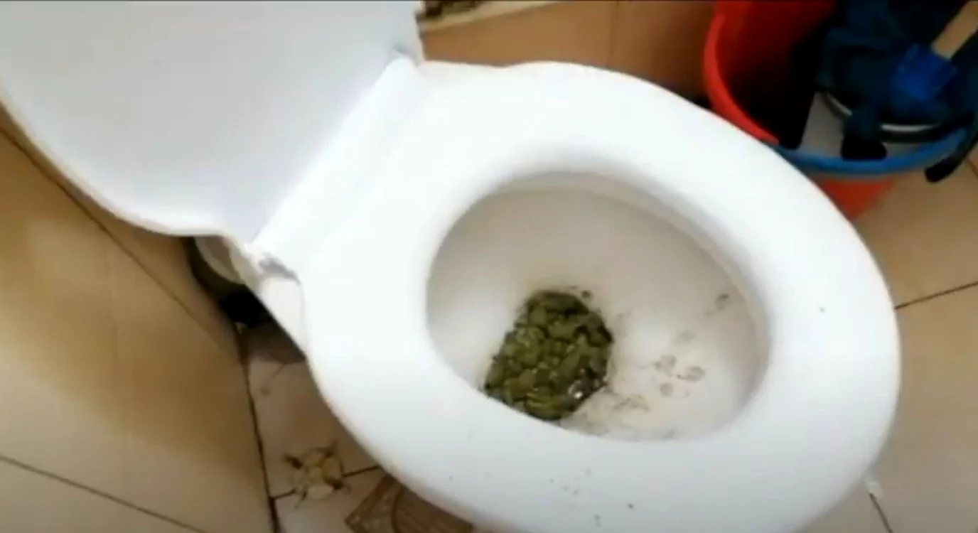 Unul dintre suspecția a aruncat drogurile în vasul toaletă FOTO: Captură video