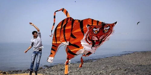 Un participant ridica un zmeu in forma de tigru in timpul Festivalului de Zmee in Mumbai FOTO Reuters