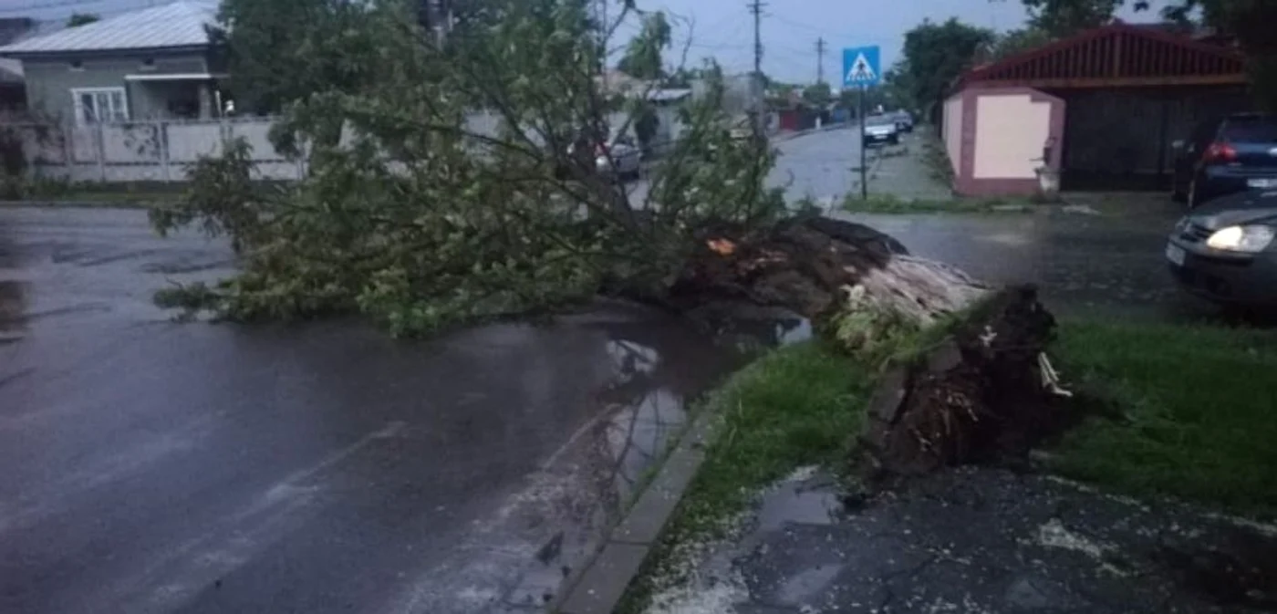 Copacul s-a prăbuşit peste acoperişul unei case, dar în cădere a rupt mai multe cabluri de electricitate