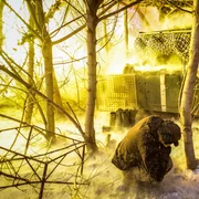 Sodlati ucraineni donețk razboi in ucraina FOTO EPA EFE jpg