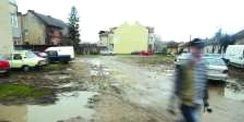 Terenul de pe strada Romulus, trecut ilegal pe numele unui personaj fictiv, a fost recuperat de Primăria Timişoara