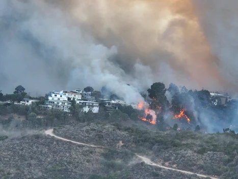 Incendiu în Los Angeles, Profimedia