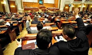 parlament croitoru maran 400x300 jpeg