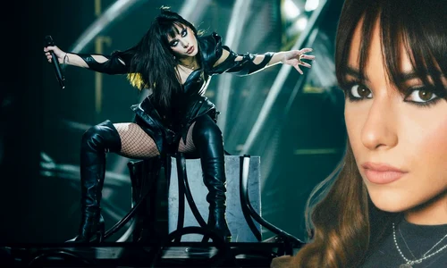 banner alexandra capitanescu jpg
