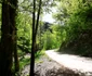 Valea Anineșului și cetatea dacică Vârful lui Hulpe Foto Daniel Guță (25) jpg