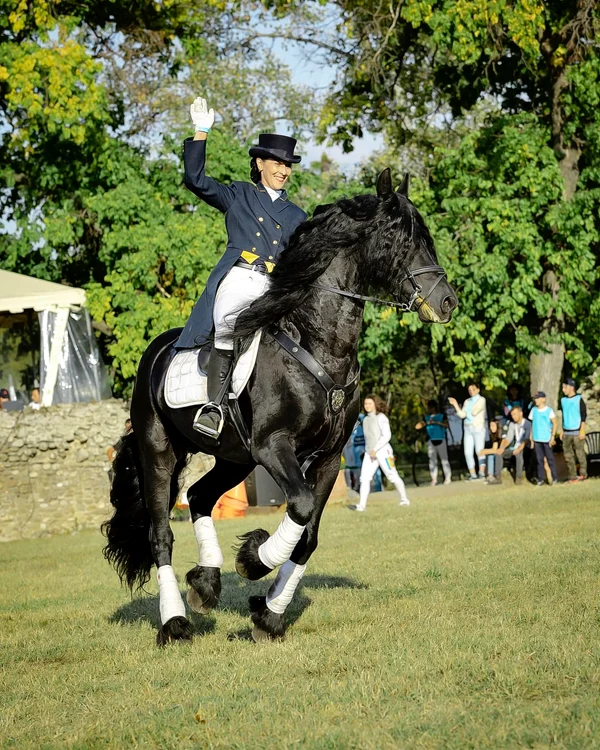 Proba de dresaj. Foto Karpatia Horse Show