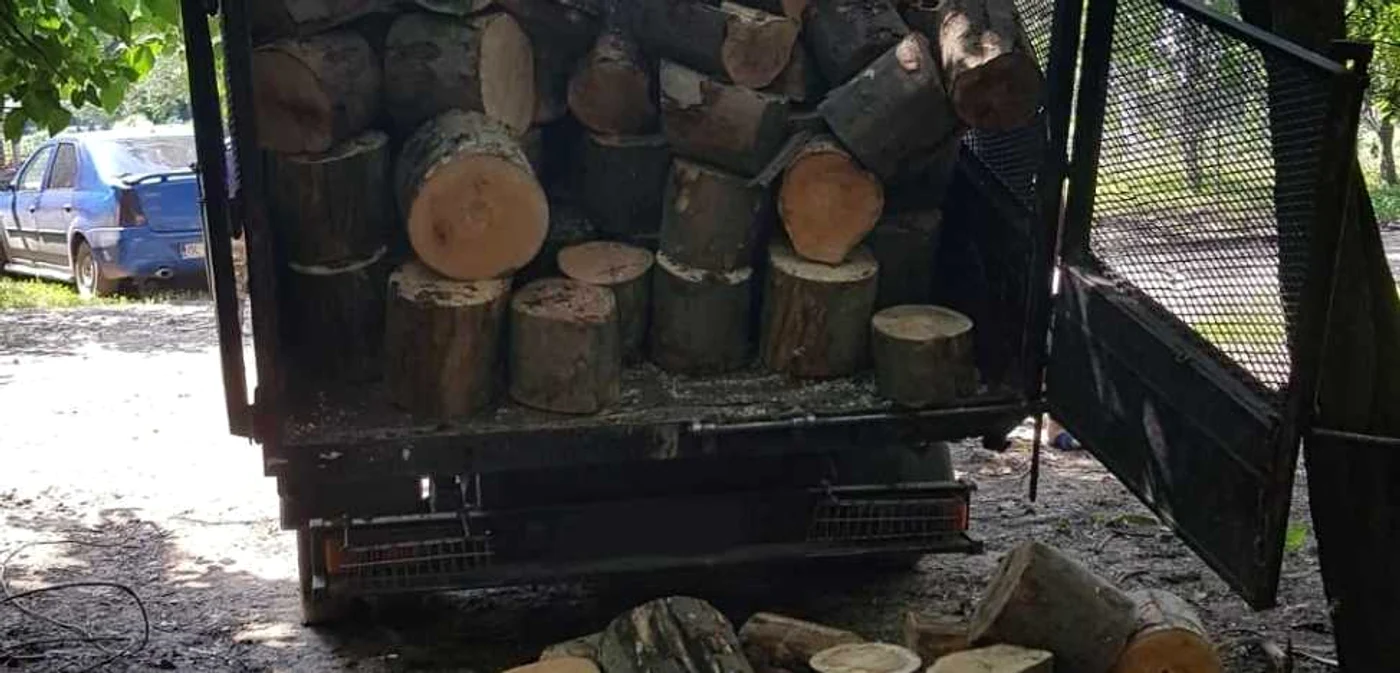 Marfa a fost confiscată de poliţişti FOTO IPJ Călăraşi