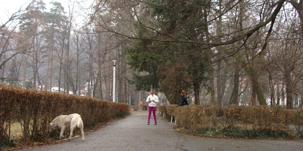 Parcul Zăvoi