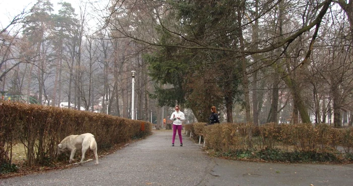 Parcul Zăvoi