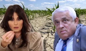 dana budeanu petre daea jpg