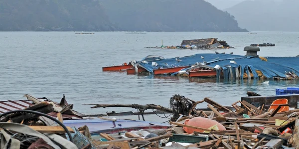 tsunami japonia 2011 foto shutterstock