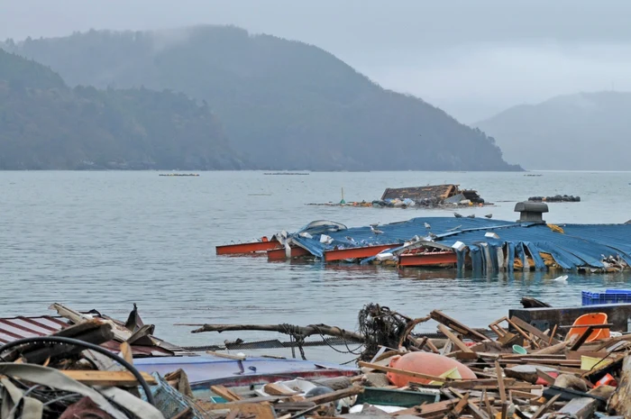 Rămăşiţe ale unei femei au fost găsite şi identificate la zece ani după tsunamiul din 2011 din Japonia Foto Shutterstock