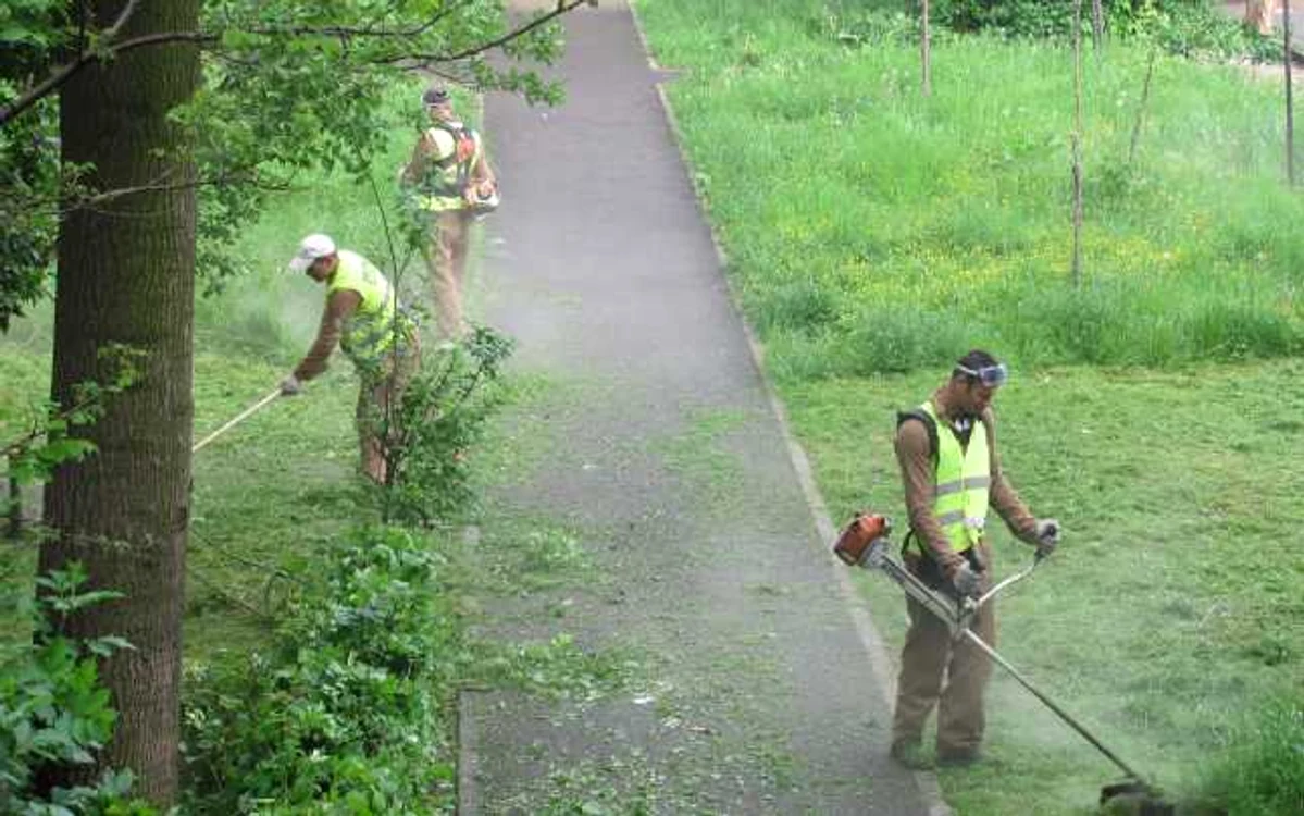 Bărbaţii curăţau parcul Şipote. Foto arhivă
