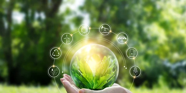 Dezvoltare durabila FOTO Shutterstock