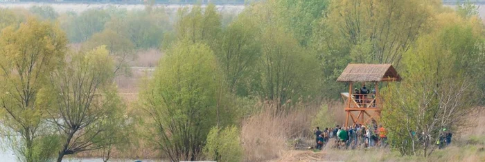 Cormoranul este privit cu teamă de românifoto:SOR