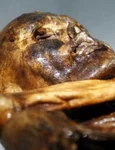 Omul gheţurilor Ötzi era predispus la boli de inimă jpeg