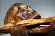 Omul gheţurilor Ötzi era predispus la boli de inimă jpeg