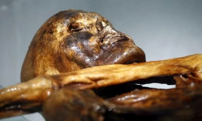 Omul gheţurilor Ötzi era predispus la boli de inimă jpeg