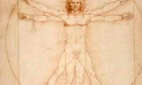 De unde s a inspirat Leonardo da Vinci pentru "Omul vitruvian" jpeg