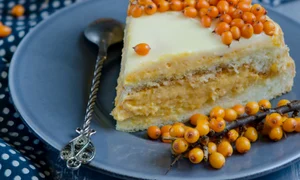 tort cu crema de catina jpeg