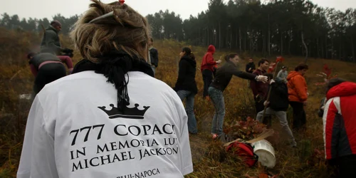 Fanii lui Michael Jackson au plantat copaci în memoria artistului cunoscut şi drept „Regele Pop“. FOTO: Caius Raţiu
