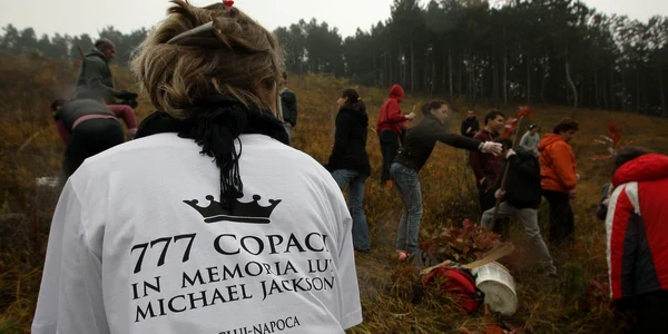 Fanii lui Michael Jackson au plantat copaci în memoria artistului cunoscut şi drept „Regele Pop“. FOTO: Caius Raţiu
