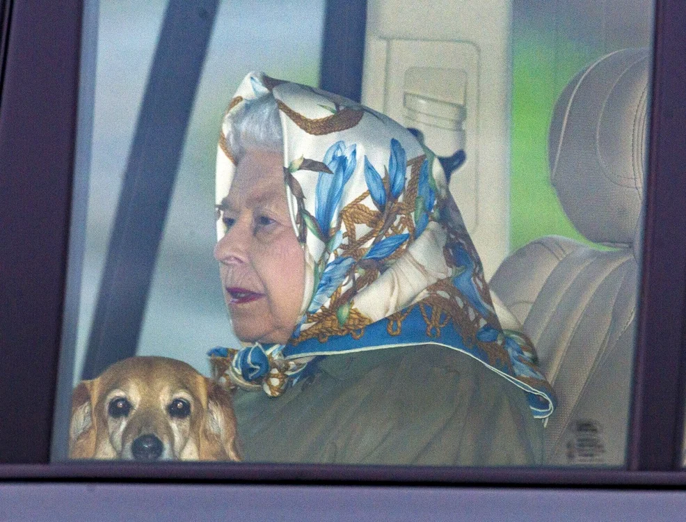 Regina Elisabeta a venit la Windsor, împreună cu câinele Candy, ca să supravegheze operațiunea de împodobire a castelului