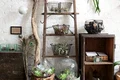 decor eco in casa jpg
