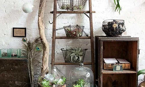 decor eco in casa jpg