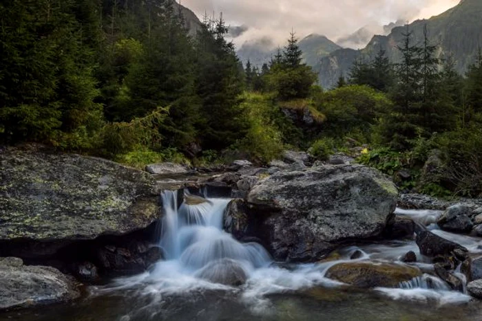 valea topologului muntii fagaras jpg jpeg