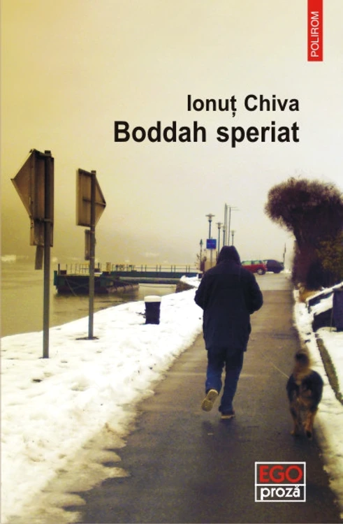 Ploaie şi cîini jpeg