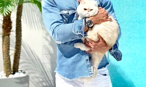 4 94878473 2447372875362328 104257414827606016 n jpg jpeg