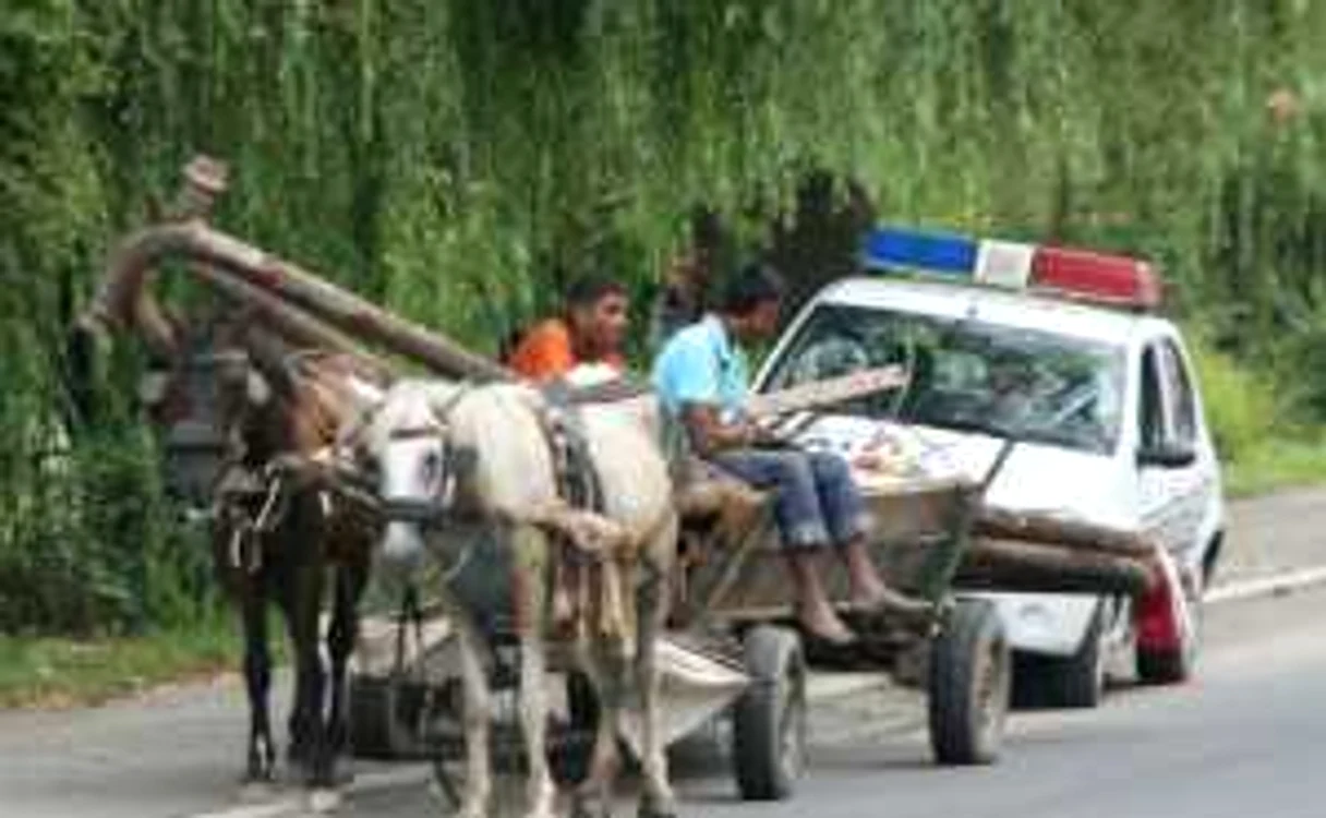 Foto: arhivă