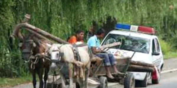 Foto: arhivă
