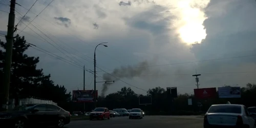 circ chisinau foto ion surdu