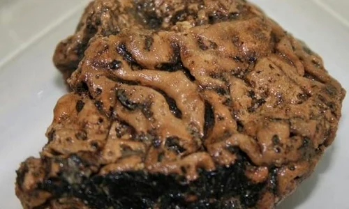 Creier vechi de 2500 de ani descoperit intact jpeg