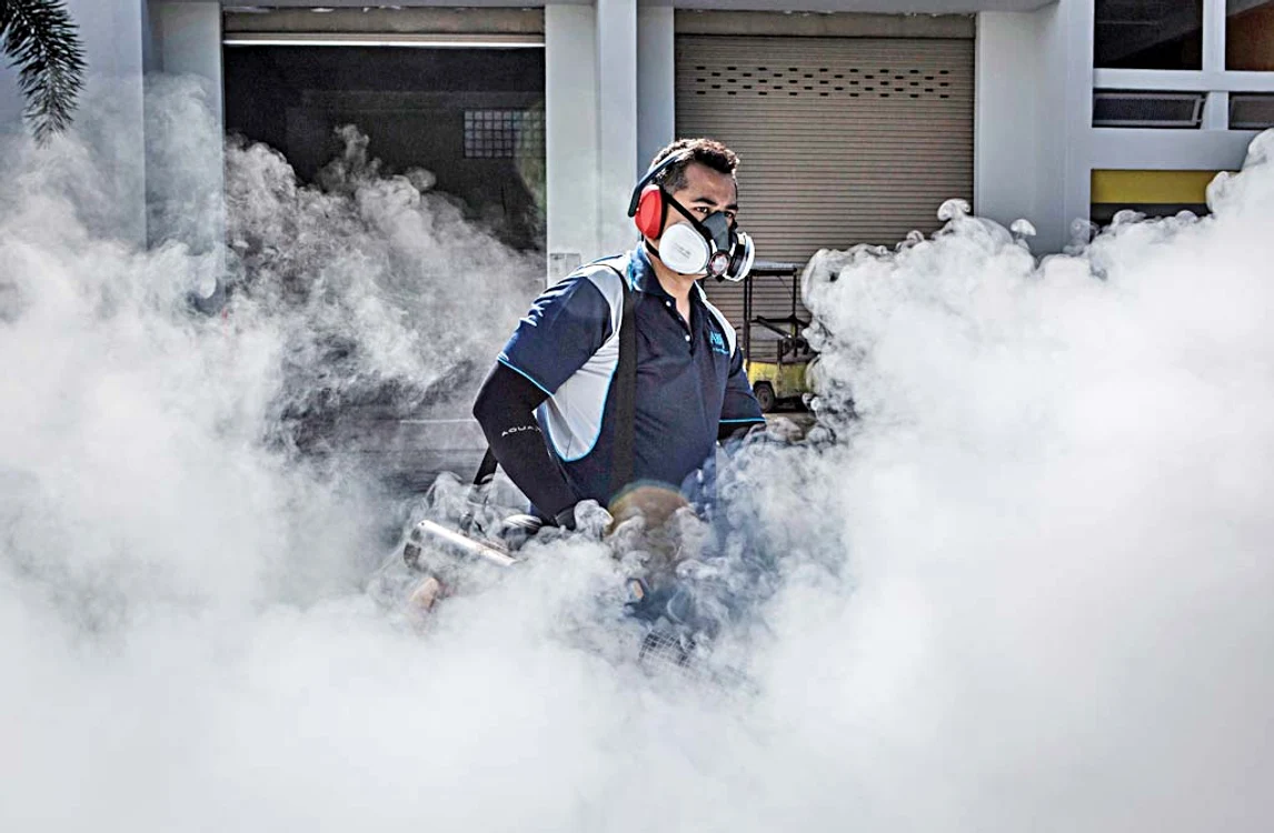 
    Foto: gettyimages  