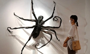 1009 7 Spider IV jpg