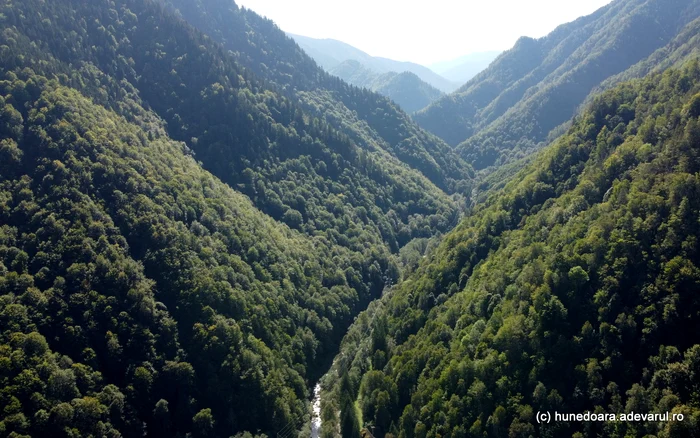 Valea Râului Mare, de la poalele barajului. Foto: Daniel Guță. ADEVĂRUL