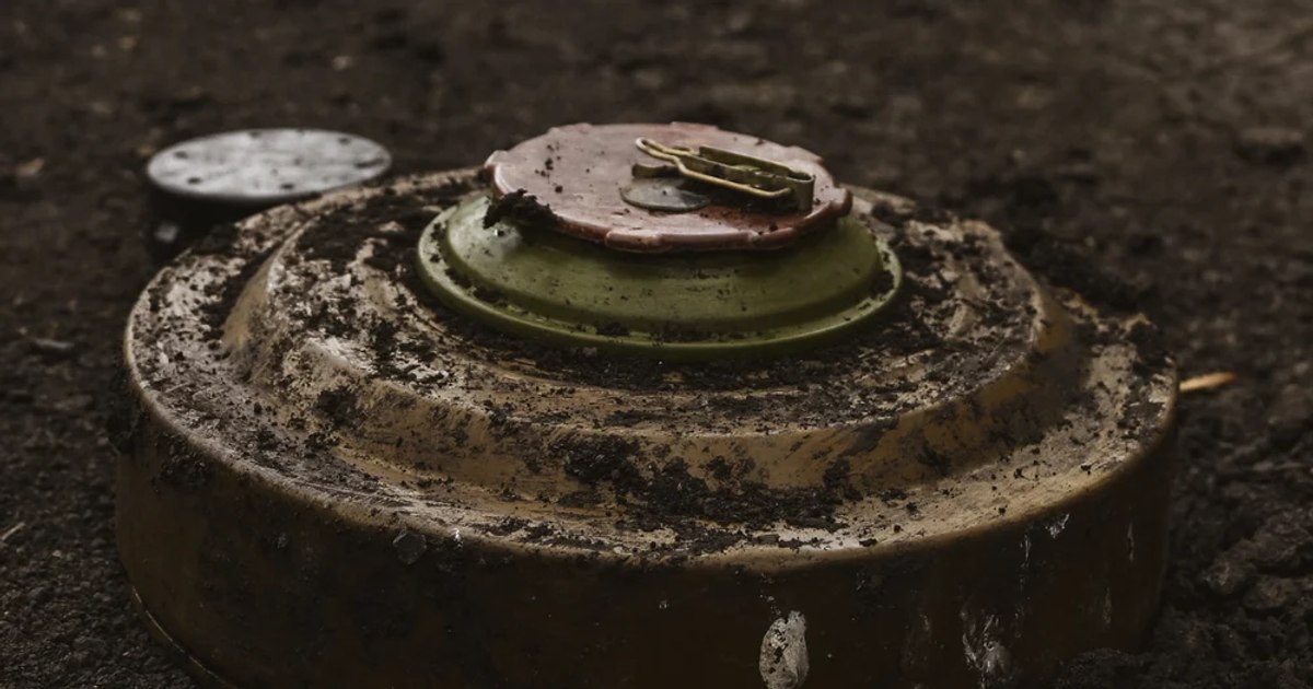 General polonez demis după găsirea minelor antitanc la IKEA