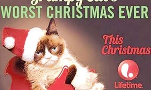 Tardar Sauce, în vârstă  de 2 ani, este cea mai  cunoscută felină din lume (Foto: Reuters) jpeg