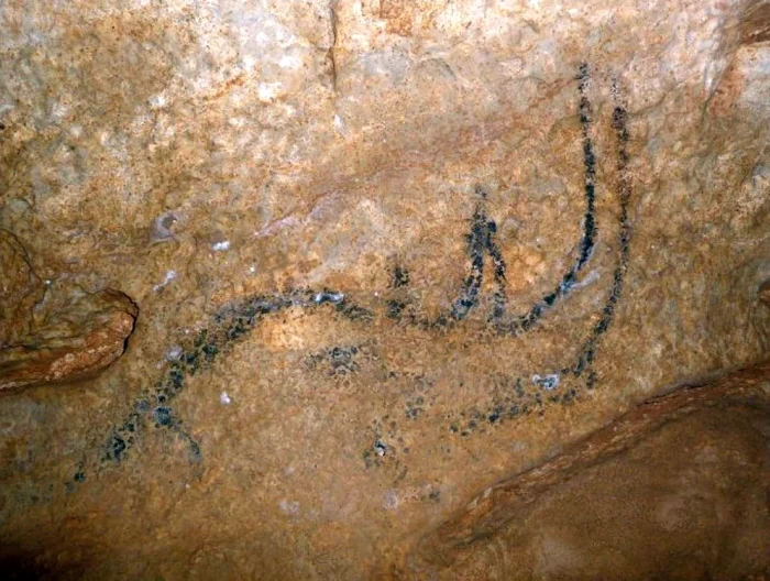 Picturi rupestre în Peștera Coliboaia. Foto: Andrei Posmoșanu