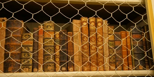 biblioteca limba carti biblioteca