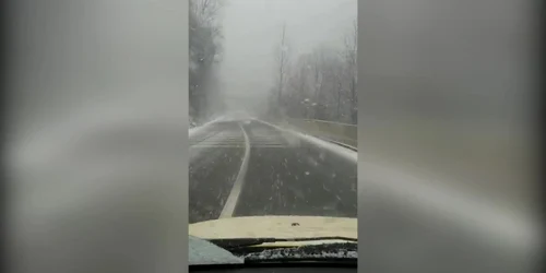 5c7fc11b445219c57ef274b2 jpg