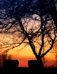 Cimitir (foto: Pixabay)