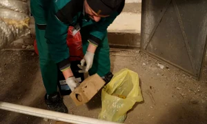 271658968 410850824167057 1264159211363989947 n jpg