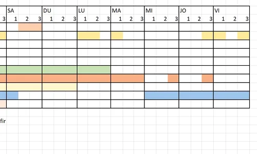 Studentul a făcut un tabel cu simptomele pe care le a experimentat pe parcursul bolii jpeg