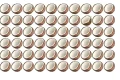 0 coconut puzzle 1 jpg