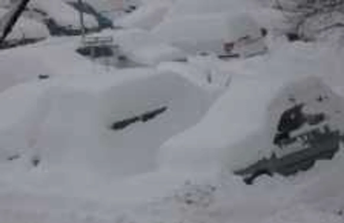 Maşinile au fost îngropate în zăpadă